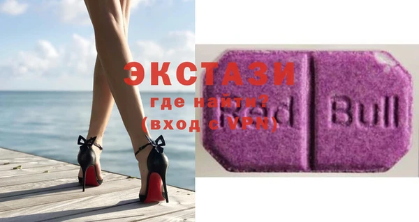 шишки Няндома