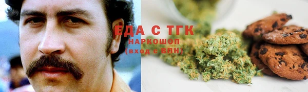 шишки Няндома