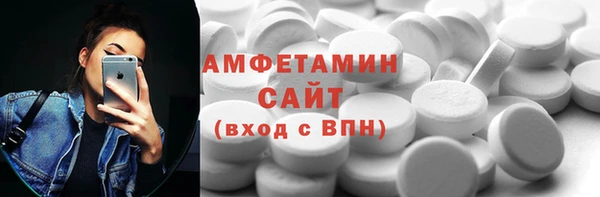 шишки Няндома