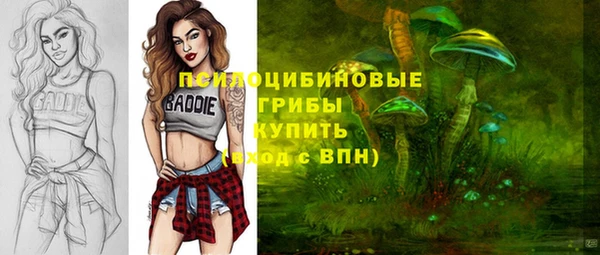 mix Нязепетровск