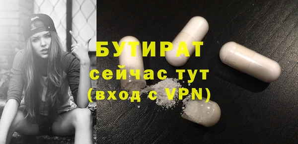 шишки Няндома