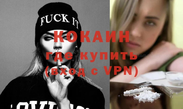 шишки Няндома
